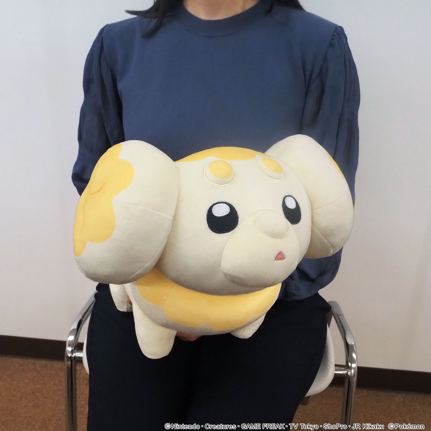 Pokémon Fidough Cushion